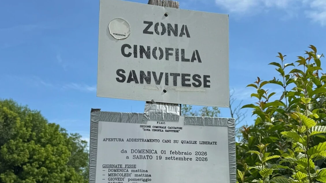 Cacciatore spara a una quaglia ma centra e ferisce un runner