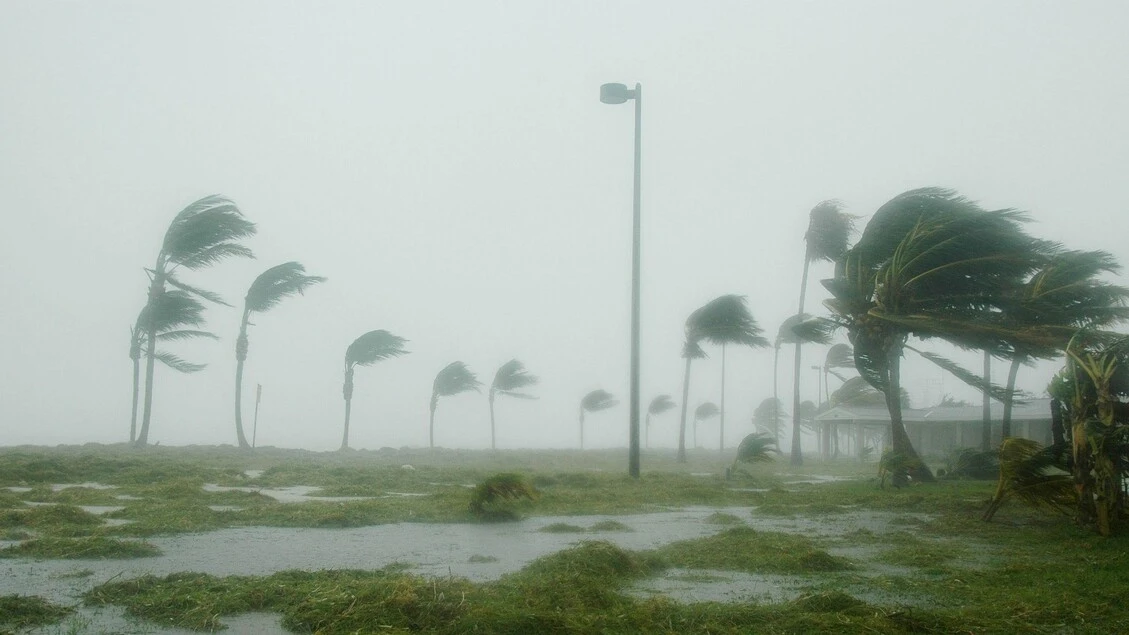 Il cambiamento climatico motore delle epidemie