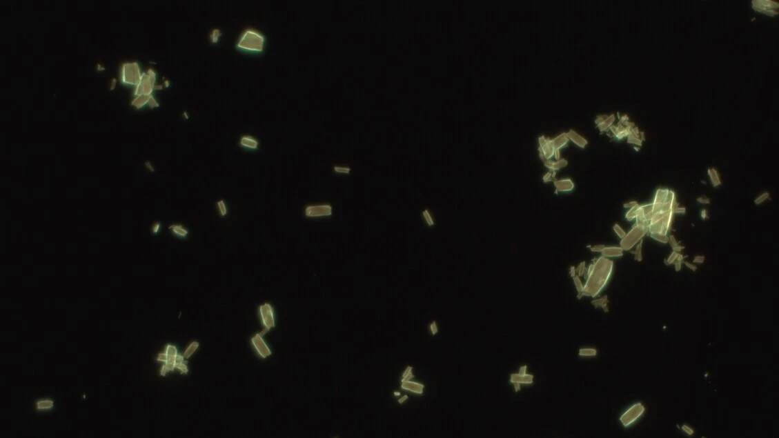 Verso nuovi materiali che usano la luce per produrre combustibili