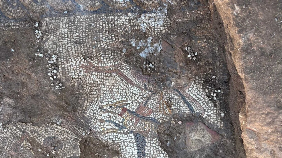 Riportato alla luce a Marsala il mosaico della 