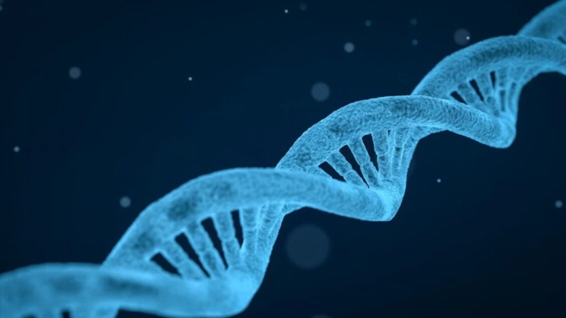 Nuova tecnica per analizzare il Dna, legge anche sequenze finora escluse