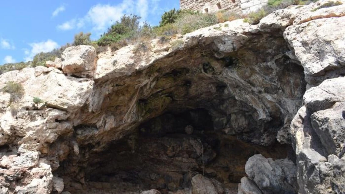 Anche i Neanderthal raccoglievano i molluschi nei mesi freddi