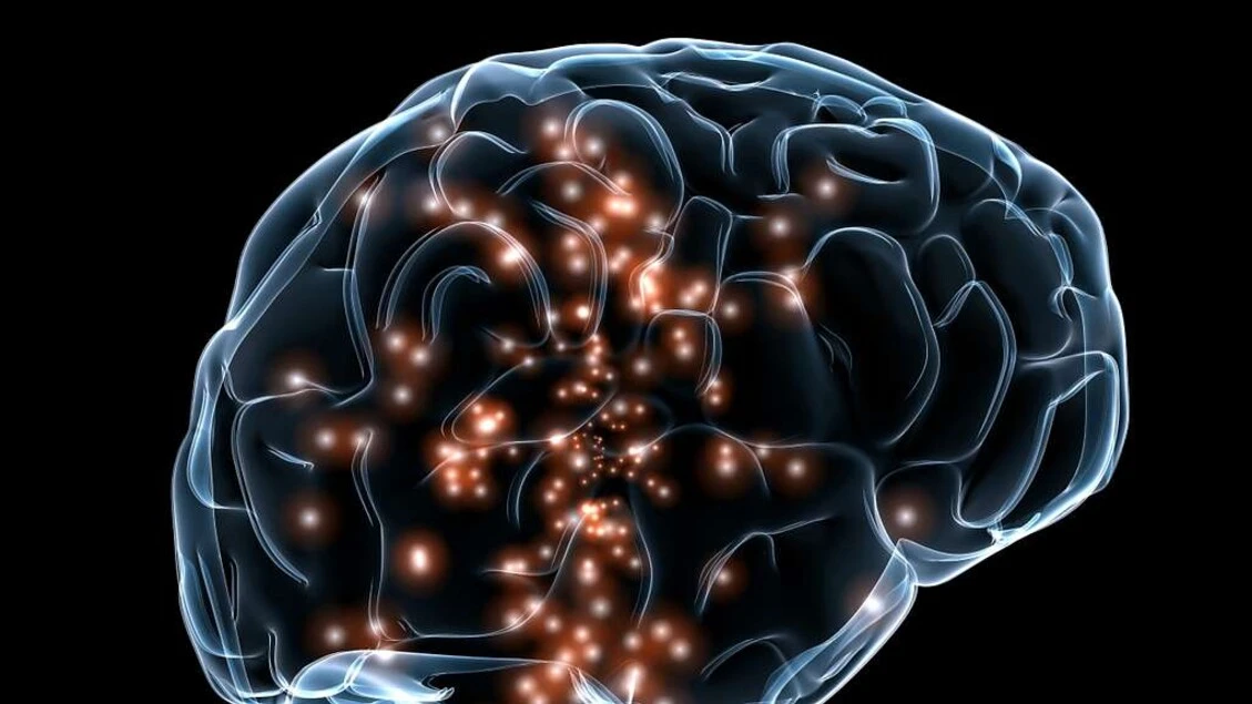 Nel cervello le tracce dei traumi vissuti nell'infanzia