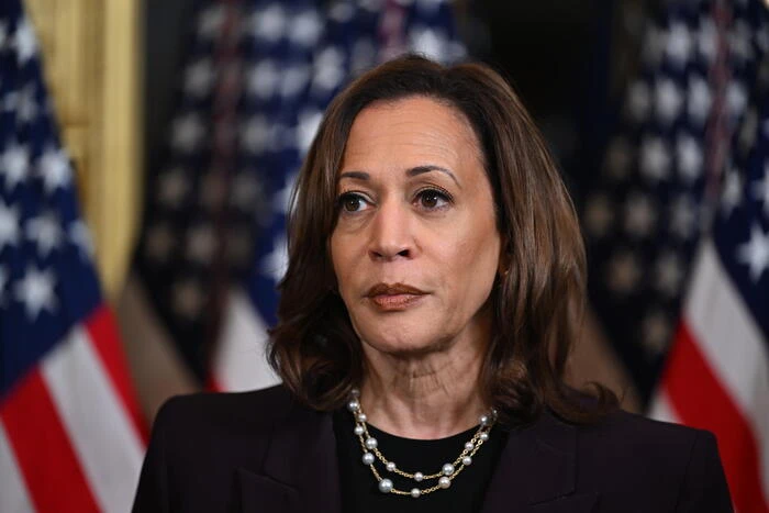 Harris, 'Trump un bullo. Noi sfavoriti ma ora c'è slancio'