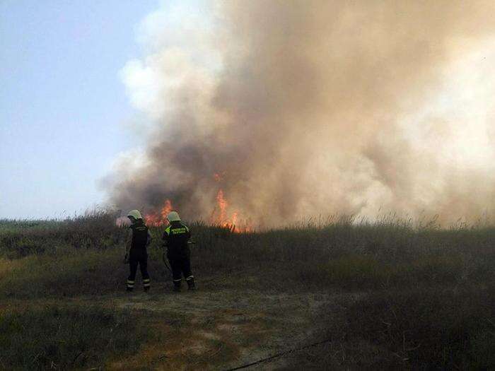 Due maxi incendi di sterpaglie vicino Roma, pompieri al lavoro