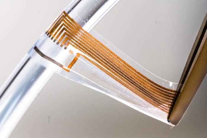Nanofili d’oro superflessibili per collegare nervi a dispositivi