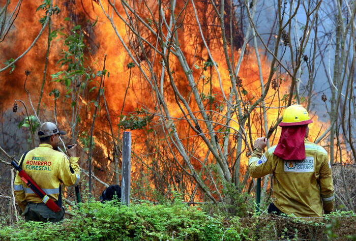 Bolivia, a Santa Cruz le fiamme devastano 5milioni di ettari