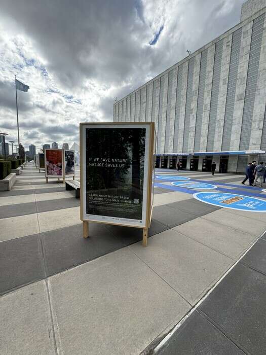 Artisti per l'Onu tappezzano di poster New York