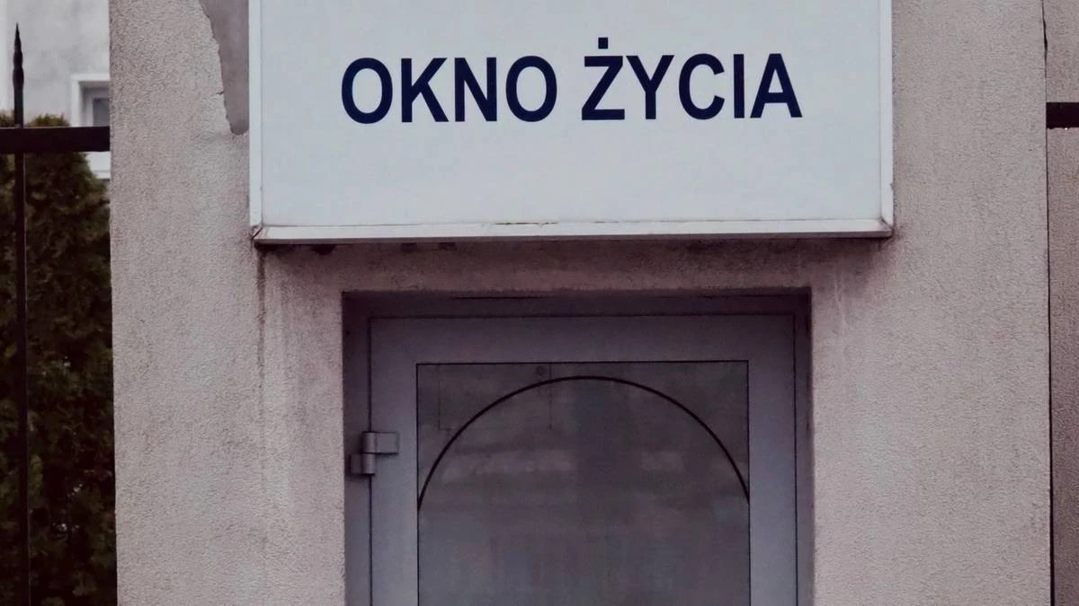 Niezwykły widok w oknie życia. 