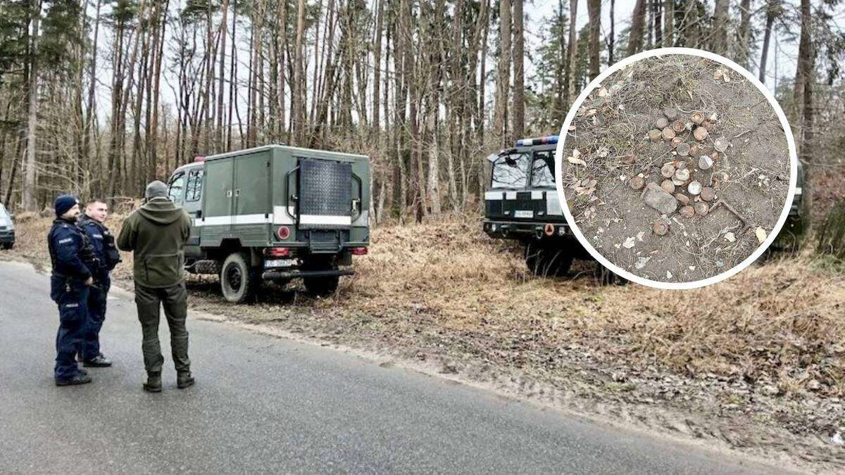 Niebezpieczne znalezisko dzików. Interweniowała słupska policja