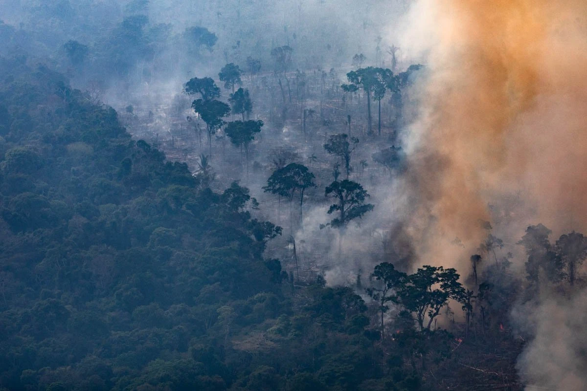 O Brasil e o Meio Ambiente (por Ricardo Guedes)
