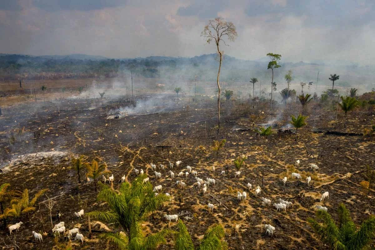 Roteiro de Mourão evita pontos críticos na Amazônia e irrita órgãos ambientais