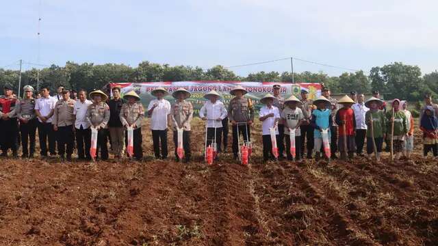 Di Pemalang, Lahan Tidur Disulap jadi Kebun Jagung