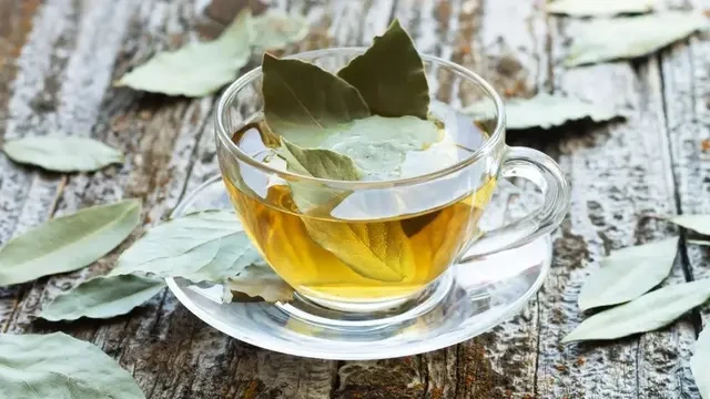 Rebusan Dua Jenis Daun Ini Bisa Jadi Alternatif Untuk Turunkan Kadar Gula Darah dan Kolest...