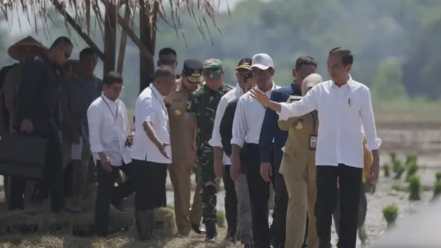 Tingkatkan Produksi Padi Nasional, Jokowi ke Petani: Kita Kejar Tanam, Tanam, Tanam