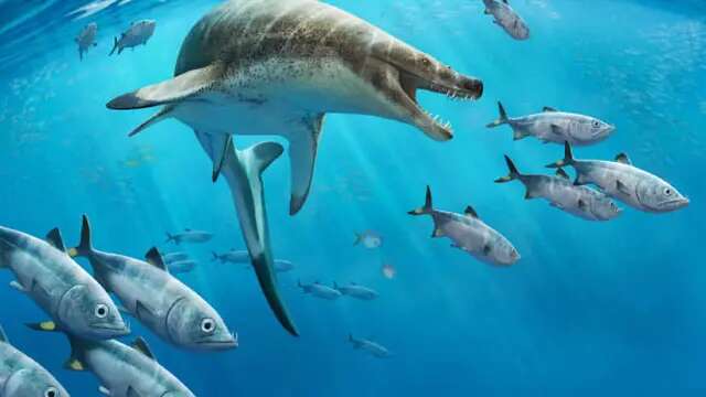 Gigi Setajam Belati! Mengenal Mosasaurus, Monster Laut dari Zaman Purba