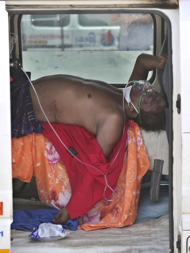 Pakar Sebut Istilah Jamur Hitam Tak Tepat Digunakan untuk Kasus Mukormikosis