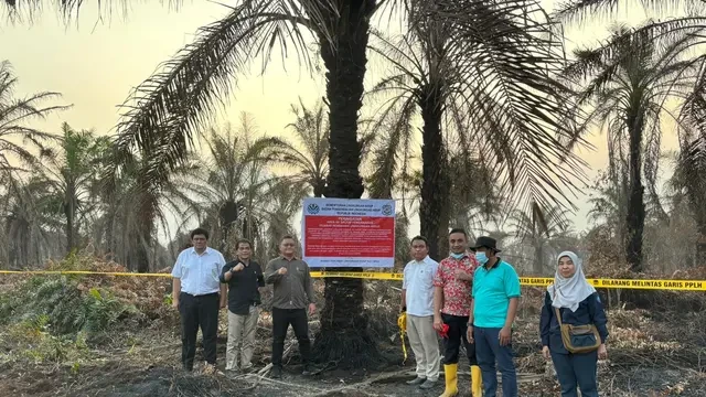 KLH Segel 4 Kebun Sawit dan 1 Pabrik Buntut Bencana Karhutla di Rokan Hilir Riau