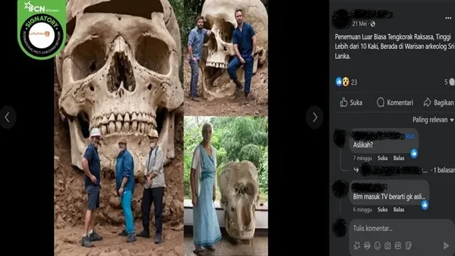 Cek Fakta: Hoaks Foto Penemuan Tengkorak Raksasa di Sri Lanka