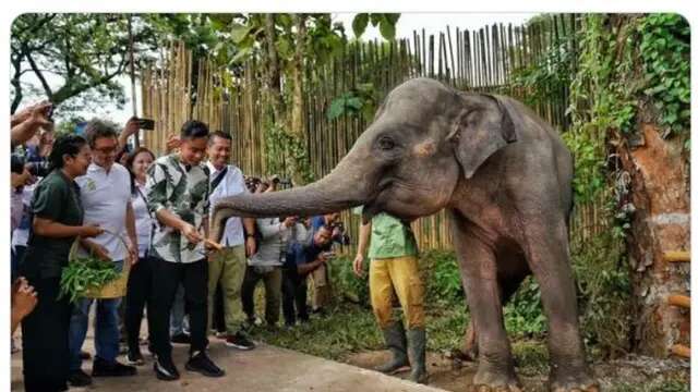 Pesona Solo Safari, Tempat Wisata Satwa Cocok untuk Libur Keluarga