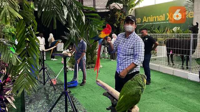 Seru, Pengunjung Bisa Interaksi Langsung dengan Hewan-hewan di Holidaze Animal Xperience D...