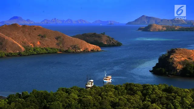 Menikmati Keindahan Pulau Rinca, Objek Wisata Alam di Pulau Flores