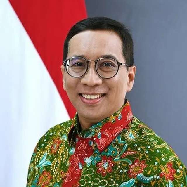 Profil Febrian Alphyanto Ruddyard, Anggota Dewan Keamanan PPB yang Ditunjuk Jadi Wamen PPN