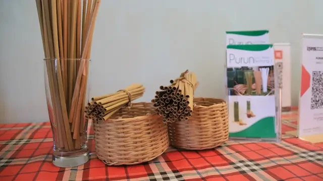 Mahasiswa UMY Sulap Tanaman Liar Jadi Pengganti Wadah Plastik