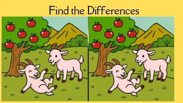 Temukan 3 Perbedaan Gambar Kambing, Bedanya Tipis Jadi Harus Fokus
