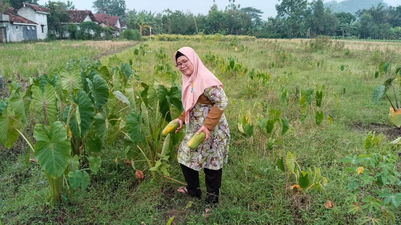 Cara Mengubah Hasil Kebun Menjadi Peluang Usaha, dari Sayuran Organik hingga Sirup Bunga T...
