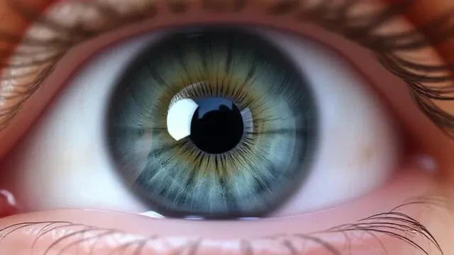 Lasik Cegah Disabilitas Netra Akibat Gangguan Refraksi, Hasilnya Bisa Bertahan Berapa Lama...
