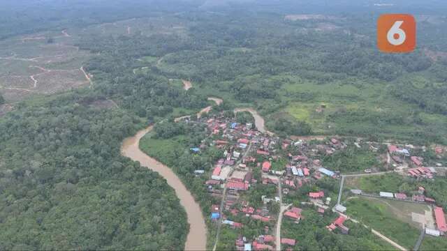 Harapan Baru di Pedalaman Kutai Barat: Listrik, Jalan, dan Internet Kini Sambangi Kampung ...