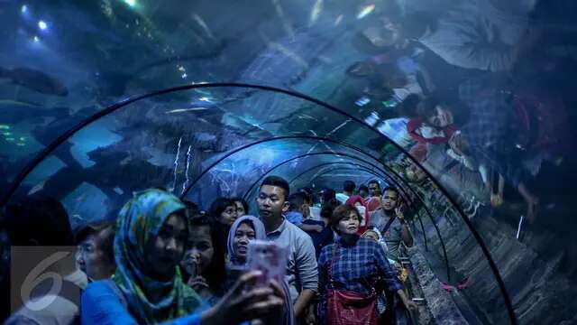 Harga Tiket Seaworld Ancol, Annual Pass Lebih Untung!