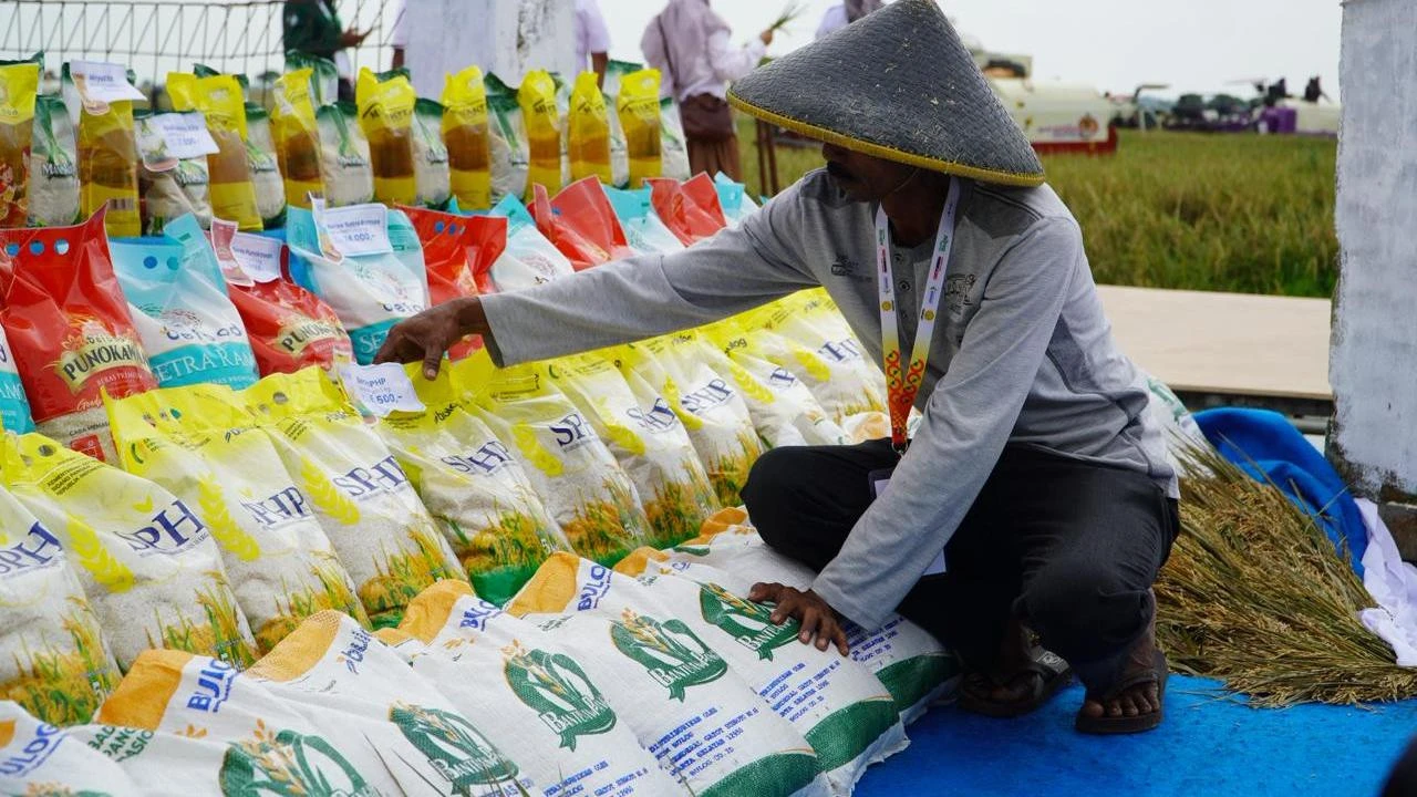 Bapanas Jamin Harga Beras SPHP Tidak Terpengaruh Dolar AS