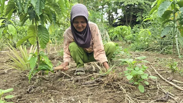 Antara Bisnis Setrum di Sumsel dan Meredupnya Jantung Kehidupan di Telatang Lahat Sumsel