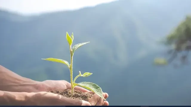 Laporan Keberlanjutan AIA 2024, Wujud Komitmen untuk Hidup Lebih Baik