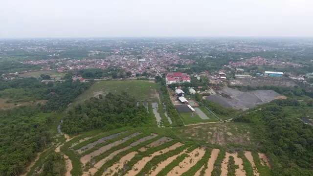 Mengangkangi Perda Tata Ruang, Pemkot Jambi Tolak Pembangunan 'Stockpile' Batu Bara