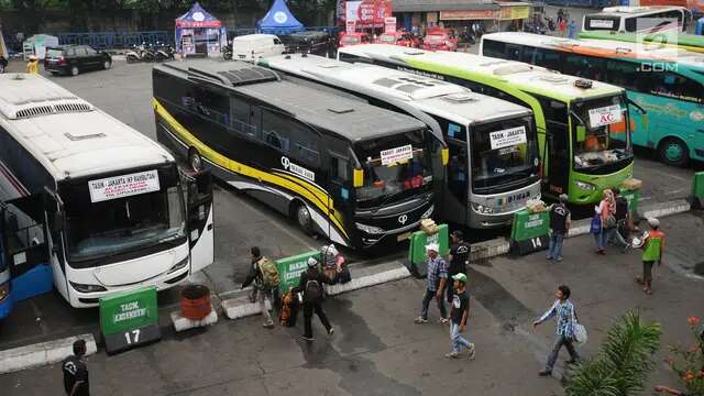 Dishub Jakarta Tambah 1.161 Kuota untuk Mudik Gratis 2025