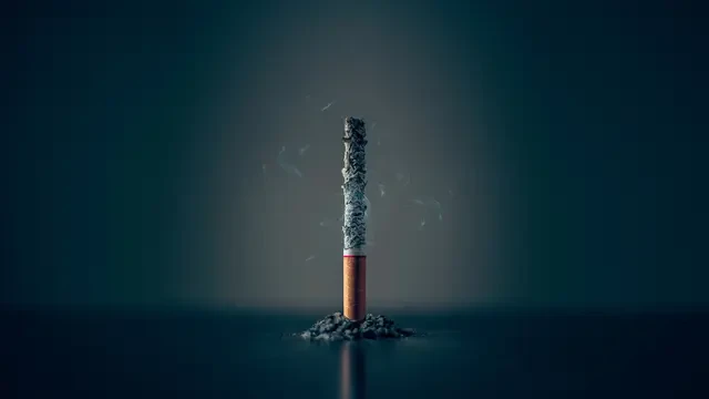 12 Organisasi Dukung Pengamanan Zat Adiktif dalam RPP UU Kesehatan, Tuntut Ketatkan Iklan ...