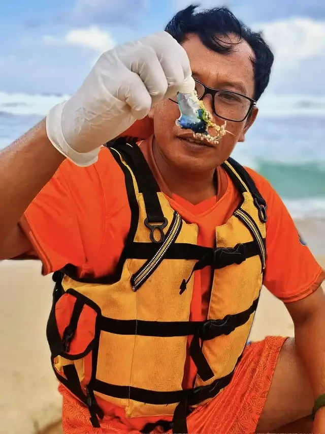 Ubur-Ubur Biru Serbu Perairan Selatan Gunungkidul, Puluhan Wisatawan Tersengat