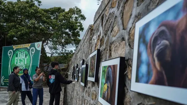 OU Fest 2024, Milenial dan Gen Z Didorong Jadi Garda Terdepan Konservasi Orangutan