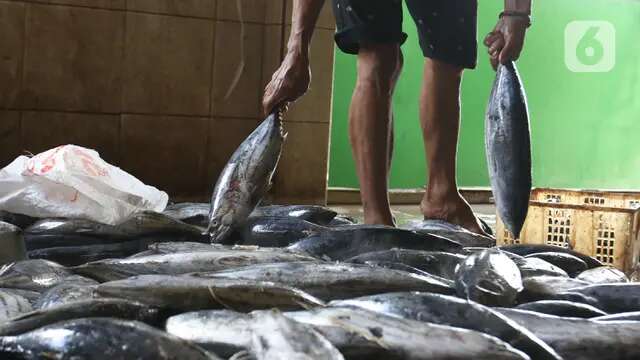 Ikan Punya Makna Kuat dalam Sejarah Indonesia, KKP Siap Sertakan di Program Makan Bergizi ...