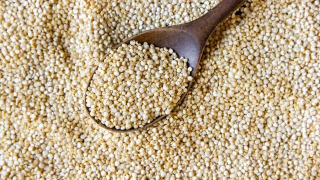 BRIN Kembangkan Sosis Ayam Berbasis Sorgum, Tinggi Protein dan Ramah untuk Pengidap Diabet...