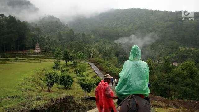 Pinusia Park, Kawasan Piknik dengan Pesona Hutan Pinus di Ungaran