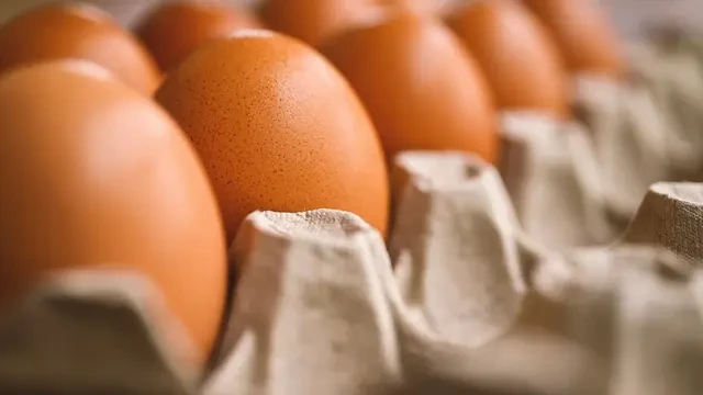Telur Mentah atau Matang, Mana yang Memiliki Kadar Gizi Tinggi? Ini Penjelasan Ilmiahnya