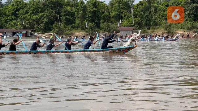 Keseruan Lomba Dayung Perahu Naga di Kutai Barat, Diikuti Banyak Daerah