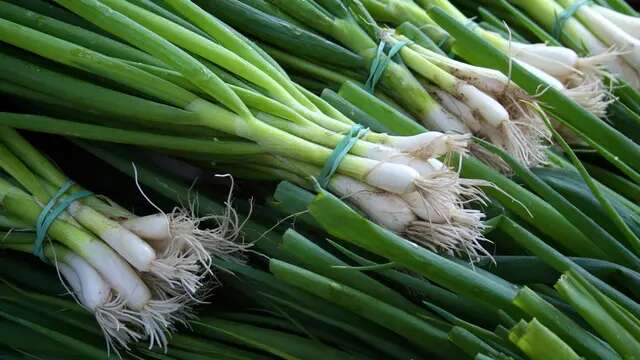 Cara Menyimpan Daun Bawang di Kulkas agar Selalu Segar dan Tahan Lama