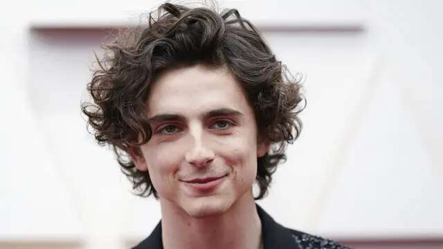 Timothee Chalamet Datang ke Lomba Mirip Dirinya, Ujung-ujungnya Dibubarkan Polisi