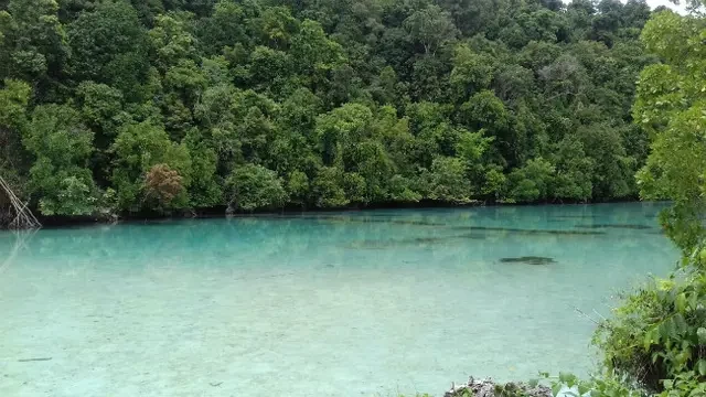 Top 3 Berita Hari Ini: Turis China Ditemukan Tewas di Pulau Kakaban Kalimantan, Diduga kar...
