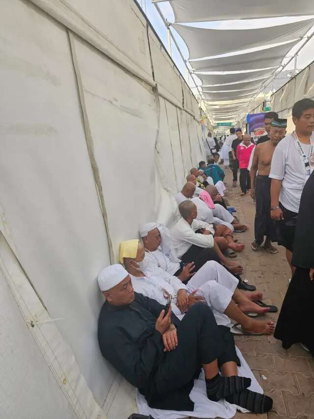 Kondisi Tenda Jemaah Haji Indonesia di Mina Tuai Protes, Disebut bak Langit dan Bumi denga...